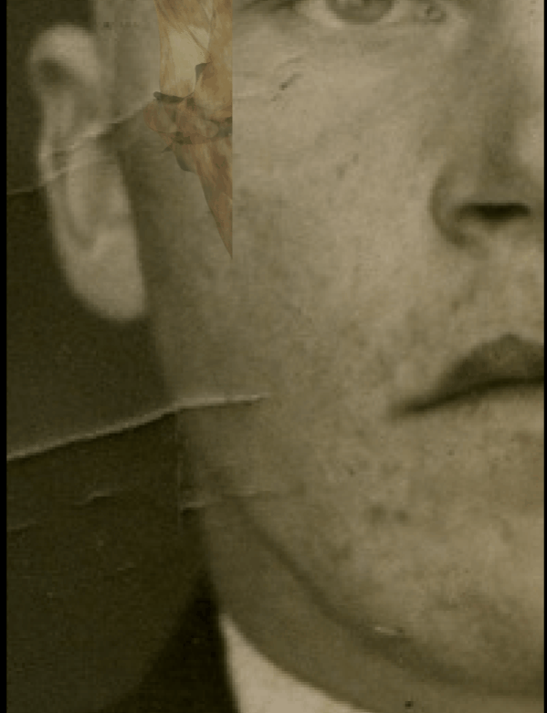 Example of a positive match in which the position of the gonial flare is visually evaluated with Skeleton·ID by means of the transparency and wipe tools, showing that the gonial flare in the skull and the postero-lateral jaw prominence in the face are consistent. The transparency tool has been used in combination with the wipe tool to show a gradient of the right jaw