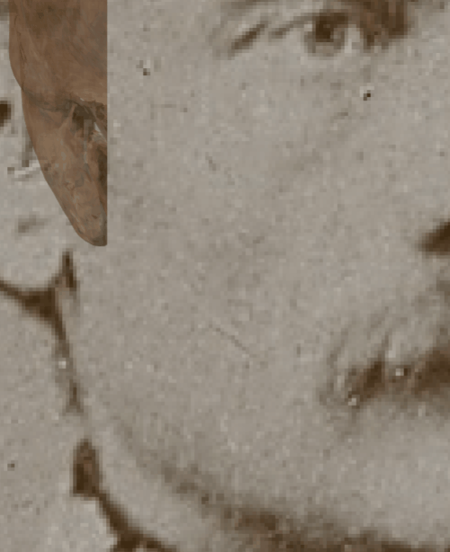 Example of a positive match in which the position of the gonial flare is visually evaluated with Skeleton·ID by means of the wipe tool, showing that the gonial flare in the skull and the postero-lateral jaw prominence in the face are consistent. The wipe tool has been used to show a gradient of the right jaw