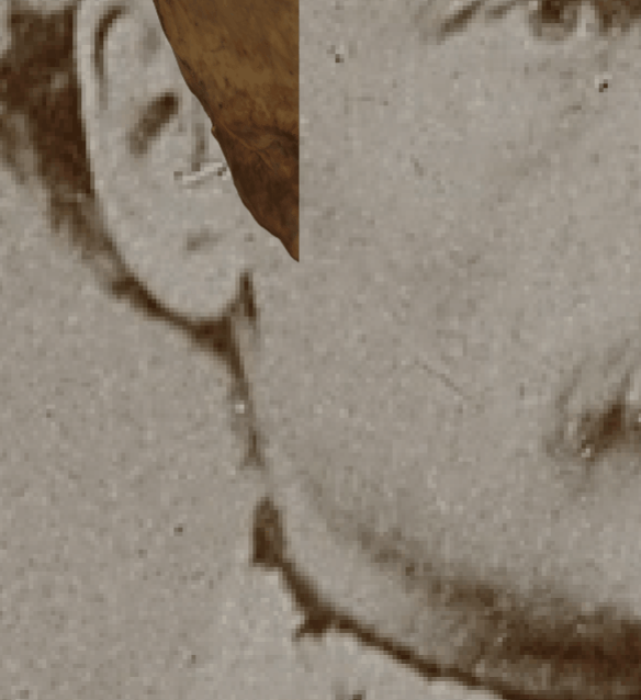 Example of a negative match in which the position of the gonial flare is visually evaluated with Skeleton·ID by means of the wipe tool, showing that the gonial flare in the skull and the postero-lateral jaw prominence in the face are inconsistent. In this case the morphology and the position of the gonial flare are inconsistent with the jaw prominence in the face. The transparency tool has been used in combination with the wipe tool to show a gradient of the right jaw